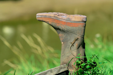 Photographie intitulée "Lézard à la botte.j…" par Pascal Moulin, Œuvre d'art originale