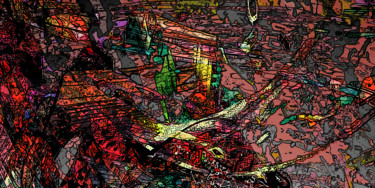 Arte digitale intitolato "Disaster.jpg" da Pascal Moulin, Opera d'arte originale, Lavoro digitale 2D