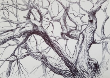 Drawing titled "Oak by pen" by Tigran Movsisyan, Original Artwork, Ballpoint pen