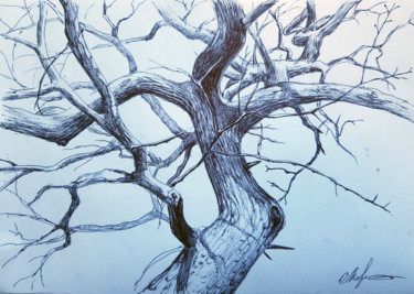 Desenho intitulada "Tree by pen" por Tigran Movsisyan, Obras de arte originais, Canetac de aerossol