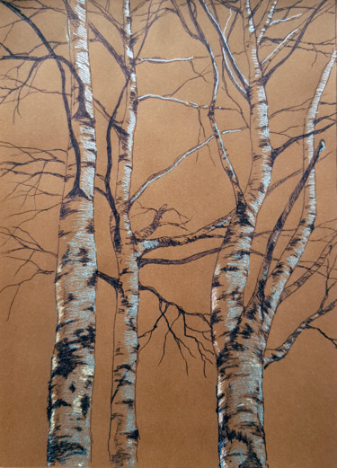 Zeichnungen mit dem Titel "Birches" von Tigran Movsisyan, Original-Kunstwerk, Kugelschreiber