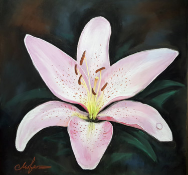 Painting titled "Lily" by Tigran Movsisyan, Original Artwork, Pastel