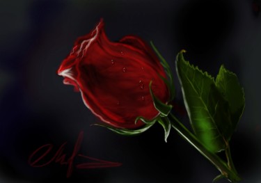 Digitale Kunst mit dem Titel "Rose digital painti…" von Tigran Movsisyan, Original-Kunstwerk, Digitale Malerei