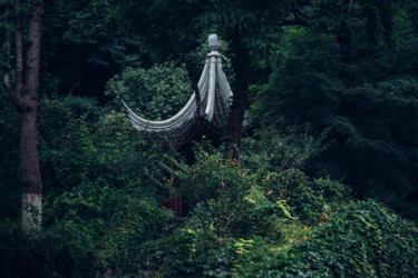 Фотография под названием "китайские крыши" - Alexander Kovalenko, Подлинное произведение искусства, Цифровая фотография