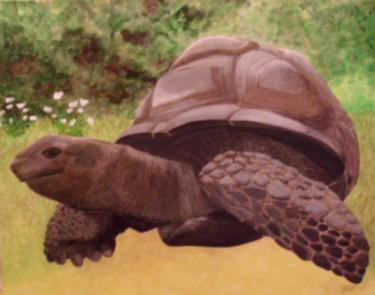 Painting titled "Tortue géante des G…" by Marie-Pierre Marche, Original Artwork, Oil