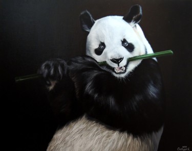 Painting titled "Panda with bamboo" by Kakajan Charyyev, Original Artwork, Oil