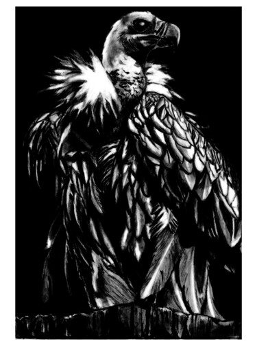 Dessin intitulée "Dark vautour" par Mr_lucassss, Œuvre d'art originale, Conté
