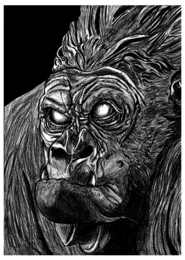 Disegno intitolato "Dark Gorille" da Mr_lucassss, Opera d'arte originale, Matite colorate
