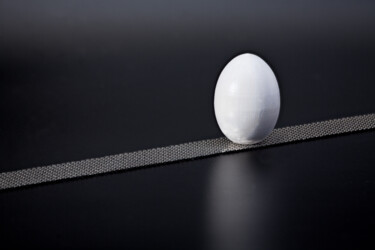 Fotografía titulada "white egg black bac…" por Mrivserg, Obra de arte original, Fotografía digital