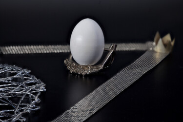 Photography titled "white egg on a silv…" by Mrivserg, Original Artwork, Digital Photography