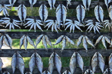 Fotografía titulada "The dried fish at s…" por Mrivserg, Obra de arte original, Fotografía digital