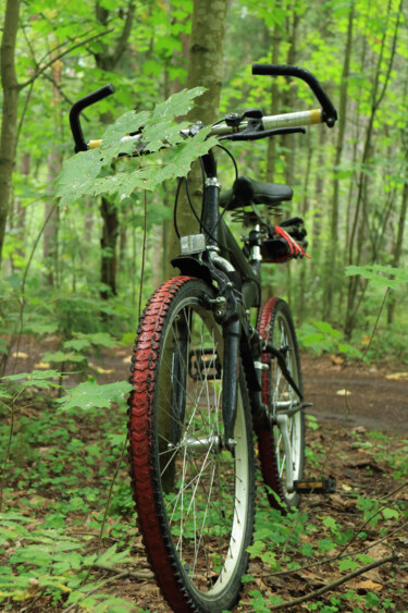 Фотография под названием "bicycle in the fore…" - Mrivserg, Подлинное произведение искусства, Цифровая фотография