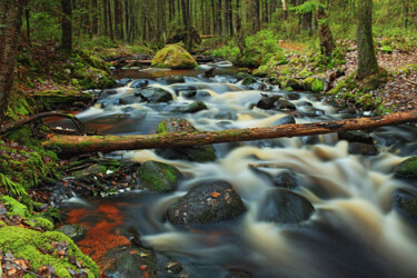 Photography titled "fast forest river" by Mrivserg, Original Artwork, Digital Photography