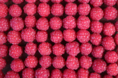 Photography titled "red berry raspberri…" by Mrivserg, Original Artwork, Digital Photography