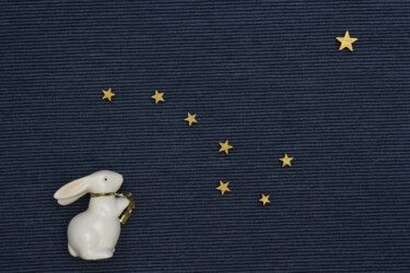 Fotografía titulada "hare looks at the s…" por Mrivserg, Obra de arte original, Fotografía digital