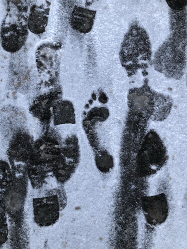 Photographie intitulée "footprint of the ba…" par Mrivserg, Œuvre d'art originale, Photographie numérique