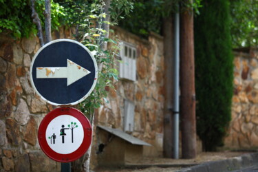 Φωτογραφία με τίτλο "Road signs trees do…" από Mrivserg, Αυθεντικά έργα τέχνης, Ψηφιακή φωτογραφία