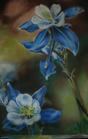 Drawing titled "The Columbine" by Mst Artroom, Original Artwork, Pastel Mounted on Metal