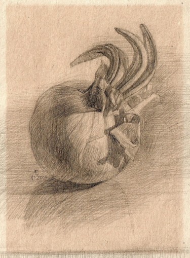 Drawing titled "Лук" by Evgeniya Kolchina, Original Artwork, Pencil