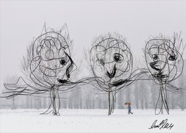 Fotografía titulada "Trees. Line drawing…" por Murat Rey, Obra de arte original, Fotografía digital