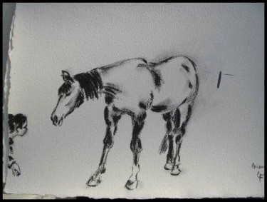 Painting titled "cheval au fusain su…" by Oxiane, Original Artwork