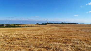 Photography titled "Été de chaumes" by Muriel Cayet, Original Artwork