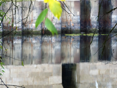 Photographie intitulée "Composition naturel…" par Muriel Cayet, Œuvre d'art originale