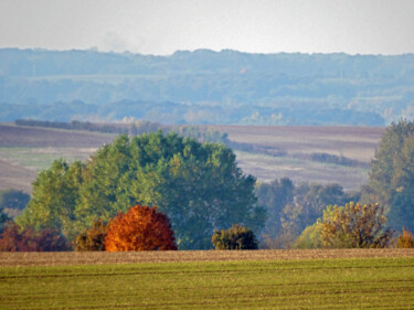 Photography titled "Berry d'automne" by Muriel Cayet, Original Artwork