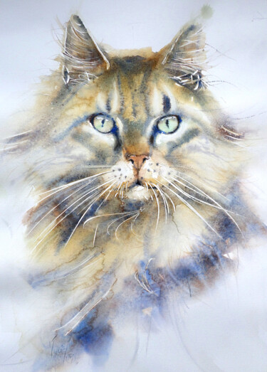 Painting titled "Maine Coon" by Muriel Mougeolle, Original Artwork, Watercolor