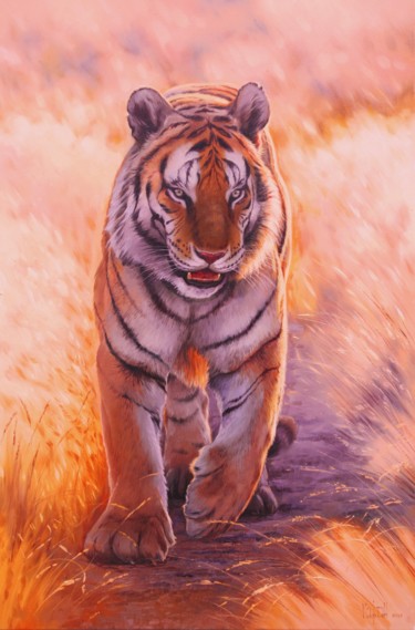 Картина под названием "Golden tiger" - Mykola Kaftan, Подлинное произведение искусства, Масло