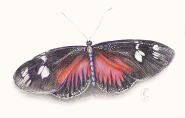 "Papillon tropical" başlıklı Tablo Mylène Goyat tarafından, Orijinal sanat, Suluboya Alüminyum üzerine monte edilmiş