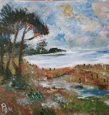 Painting titled "Les terres salines" by Audran, Original Artwork, Acrylic