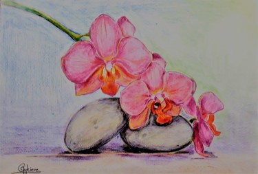 Drawing titled "Pierres et orchidées" by Myriam Gylon, Original Artwork, Pencil