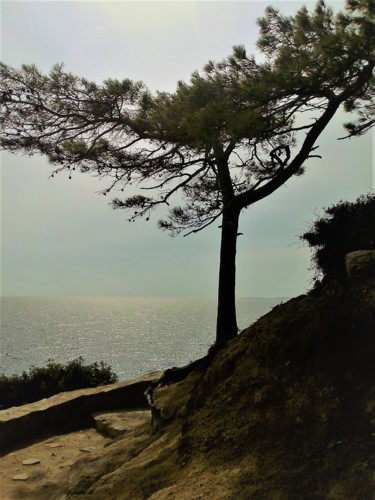 Photographie intitulée "Loret De mar" par Myriam Gylon, Œuvre d'art originale, Photographie numérique