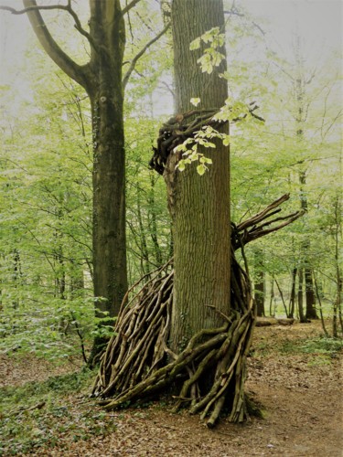 Фотография под названием "La nature offre, l'…" - Myriam Gylon, Подлинное произведение искусства, Цифровая фотография