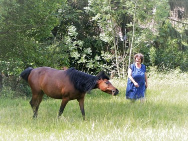 Fotografia intitolato "Les chevaux de Lens" da Myriam Gylon, Opera d'arte originale, Fotografia digitale