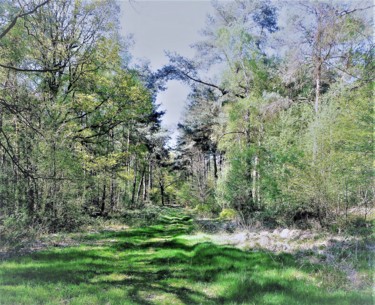 Fotografia zatytułowany „Nature sauvage” autorstwa Myriam Gylon, Oryginalna praca, Fotografia cyfrowa