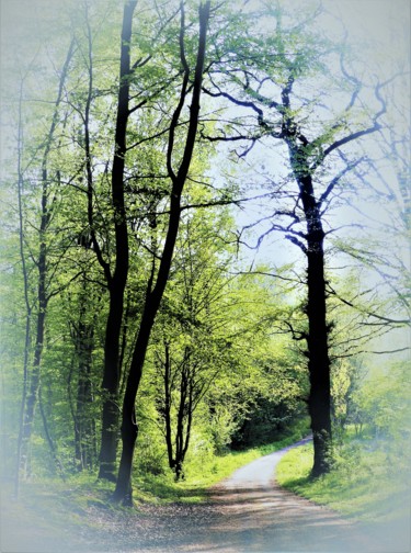 Photography titled "Un chemin" by Myriam Gylon, Original Artwork, Digital Photography