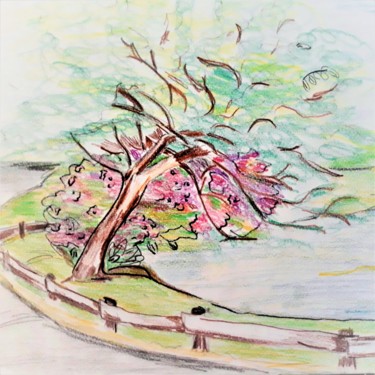 Dibujo titulada "croquis du parc" por Myriam Gylon, Obra de arte original, Lápiz