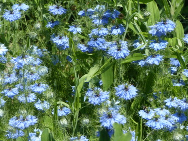 Photographie intitulée "Blue" par Myriam Gylon, Œuvre d'art originale, Photographie numérique