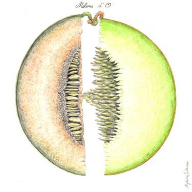 Dessin intitulée "Melon d'O" par Myriam Schmaus, Œuvre d'art originale, Crayon