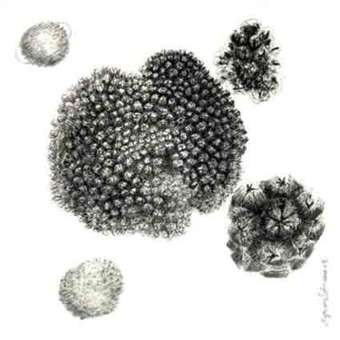 Drawing titled "Truffes cosmiques" by Myriam Schmaus, Original Artwork, Ink