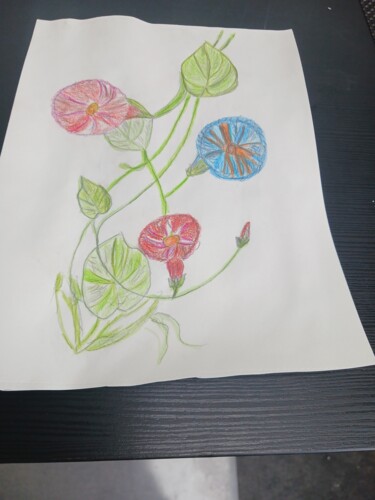 Drawing titled "Plante" by Myriam Rouffiange, Original Artwork, Pencil