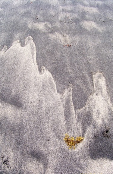 Fotografía titulada "sable en Martinique…" por Myriam Wetzstein, Obra de arte original, Fotografía digital Montado en Otro p…