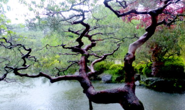 제목이 "arbre au Japon #art…"인 사진 Myriam Wetzstein로, 원작, 조작되지 않은 사진 기타 단단한 패널에 장착됨