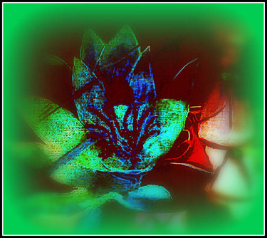 Arts numériques intitulée "lotus" par Mysane, Œuvre d'art originale, Peinture numérique