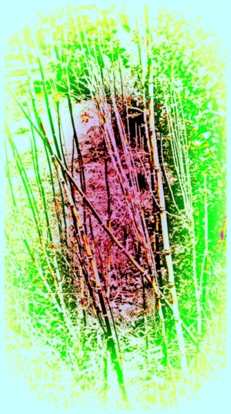 Arts numériques intitulée "Bambous" par Mysane, Œuvre d'art originale, Peinture numérique