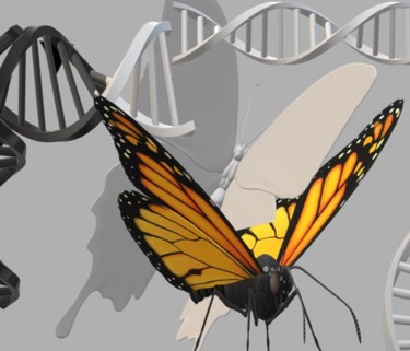 Arts numériques intitulée "papillons entremêlés" par Mysane, Œuvre d'art originale, Peinture numérique