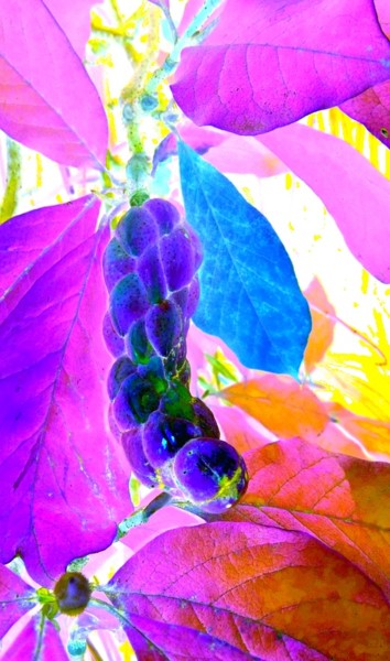 Arts numériques intitulée "fruit exotique...." par Mysane, Œuvre d'art originale, Photo montage