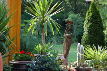 Fotografie mit dem Titel "Mein Garten" von N.A. Dietzen, Original-Kunstwerk